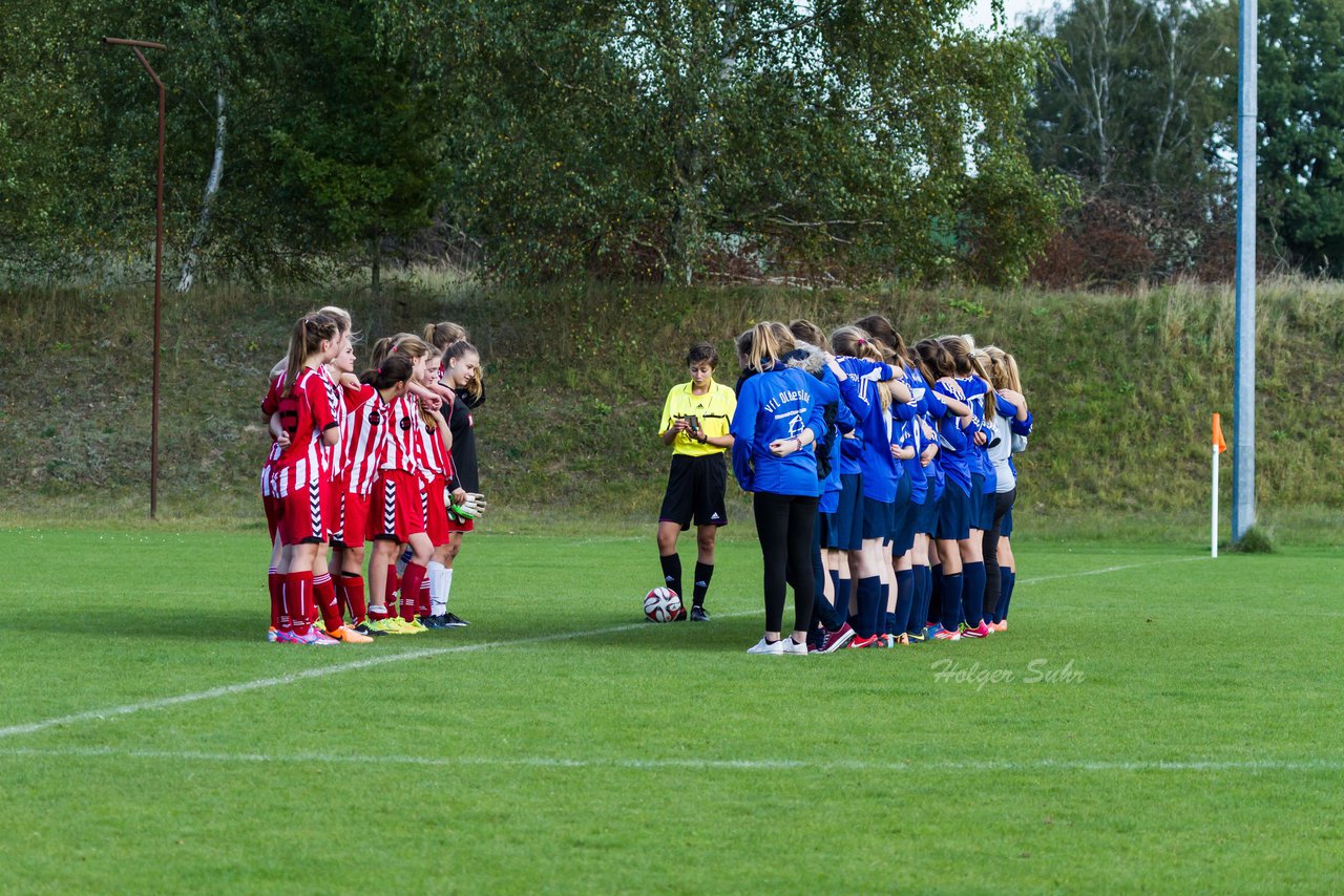 Bild 289 - B-Juniorinnen TuS Tensfeld - VfL Oldesloe 2 : Ergebnis: 2:5